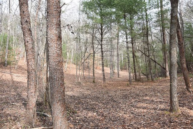 167 Swaims Road, Hayesville, NC 28904