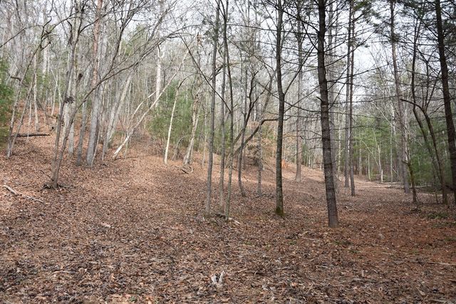 167 Swaims Road, Hayesville, NC 28904