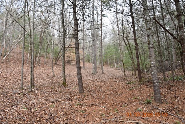 167 Swaims Road, Hayesville, NC 28904