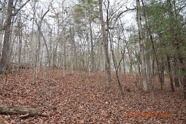 167 Swaims Road, Hayesville, NC 28904