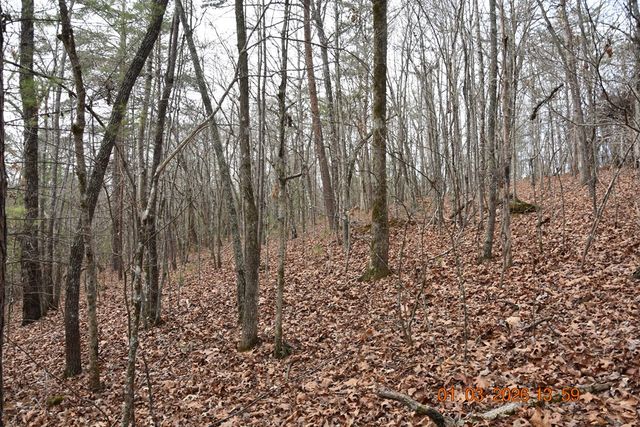 167 Swaims Road, Hayesville, NC 28904