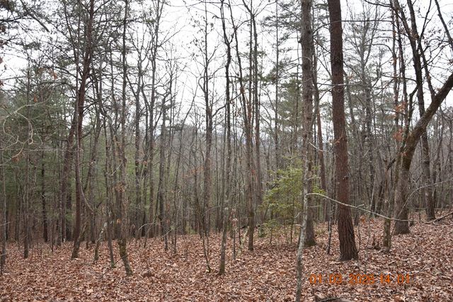 167 Swaims Road, Hayesville, NC 28904