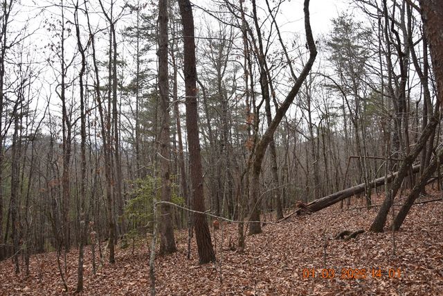 167 Swaims Road, Hayesville, NC 28904