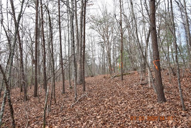 167 Swaims Road, Hayesville, NC 28904