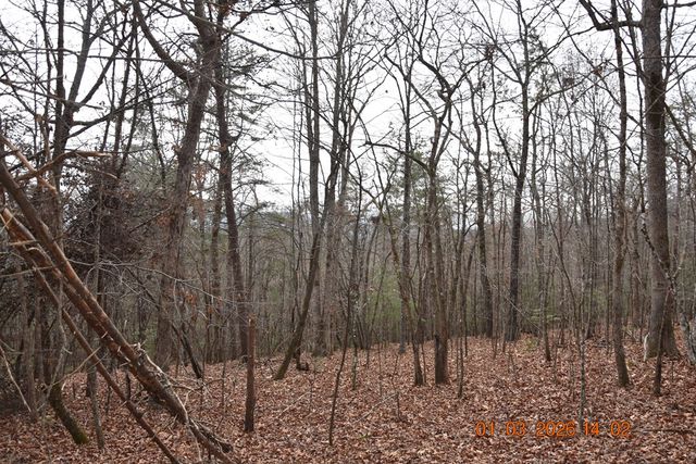 167 Swaims Road, Hayesville, NC 28904