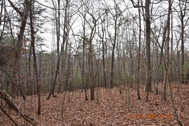 167 Swaims Road, Hayesville, NC 28904