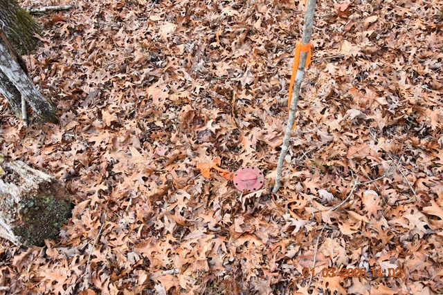 167 Swaims Road, Hayesville, NC 28904