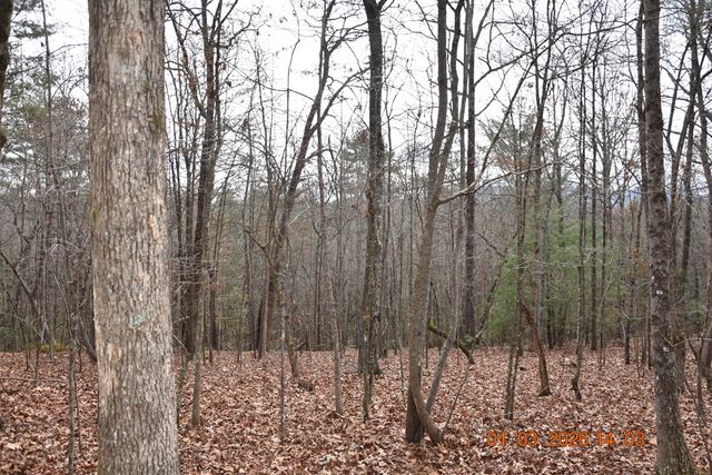 167 Swaims Road, Hayesville, NC 28904