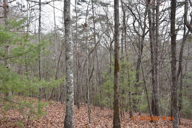 167 Swaims Road, Hayesville, NC 28904