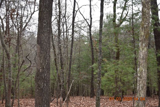 167 Swaims Road, Hayesville, NC 28904