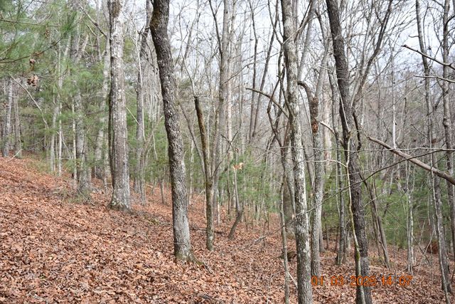 167 Swaims Road, Hayesville, NC 28904