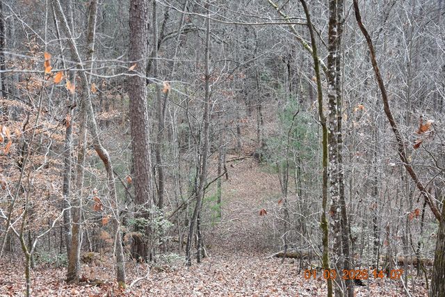 167 Swaims Road, Hayesville, NC 28904