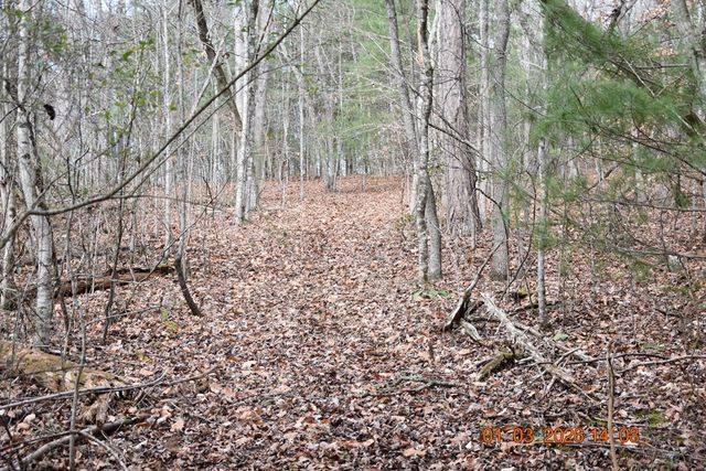 167 Swaims Road, Hayesville, NC 28904