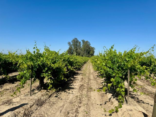 1 W Belmont Avenue, Kerman, CA 93630
