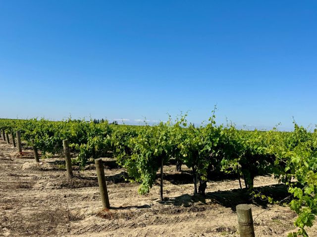 1 W Belmont Avenue, Kerman, CA 93630