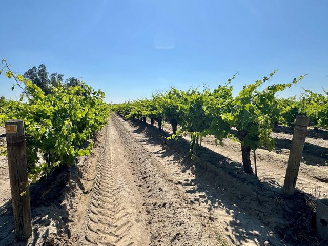 1 W Belmont Avenue, Kerman, CA 93630