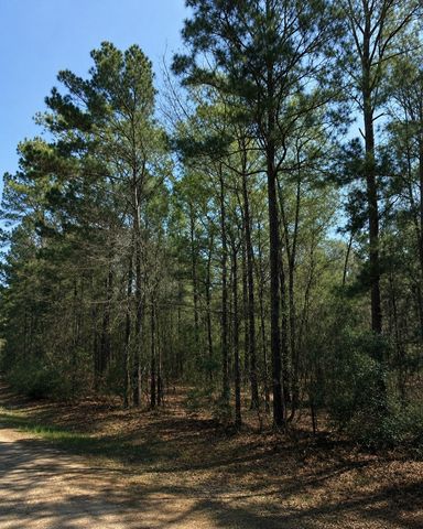 0 Norfolk, Livingston, TX 77351