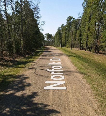 0 Norfolk, Livingston, TX 77351