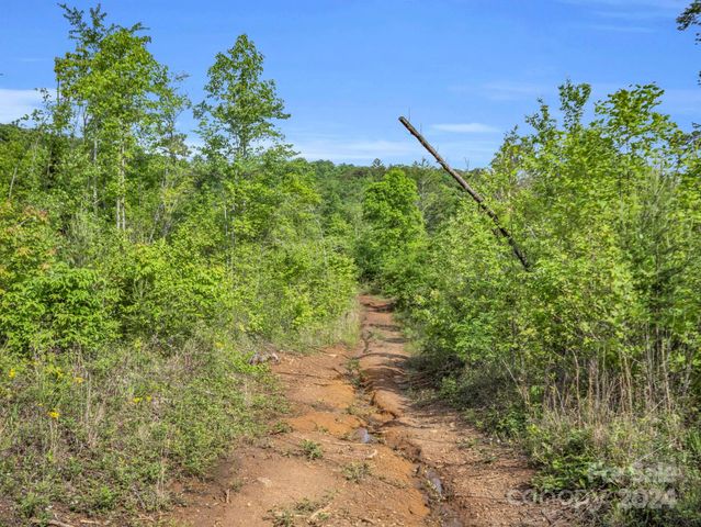 0 Bills Creek Road, Lake Lure, NC 28746