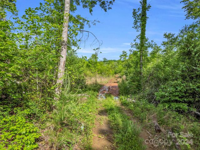 0 Bills Creek Road, Lake Lure, NC 28746