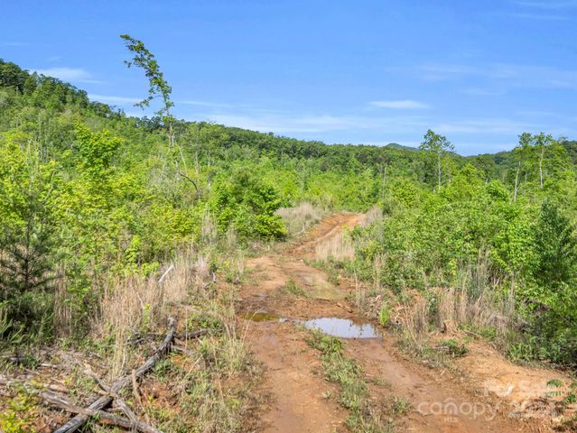 0 Bills Creek Road, Lake Lure, NC 28746