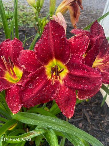 431 County Road 220, Athens, TN 37303