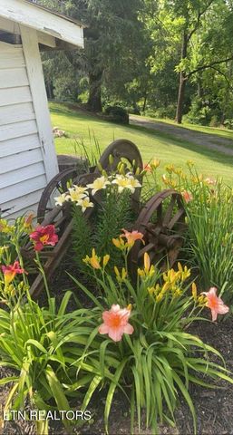 431 County Road 220, Athens, TN 37303