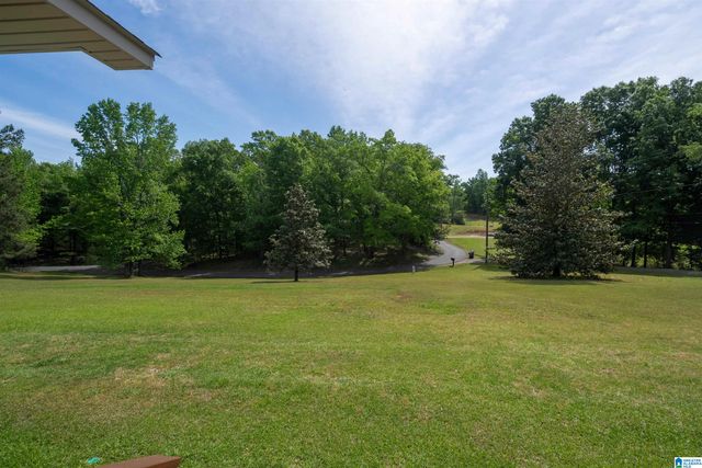 3990 BLACK HAWK DRIVE, Bessemer, AL 35022