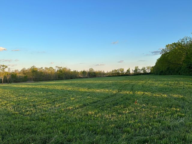 2007 Walnut Grove Road, Carlisle, KY 40311