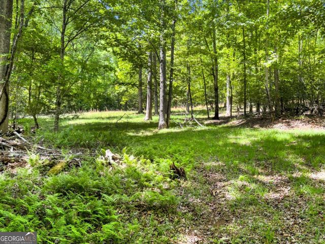 220 Evans Lane, Lakemont, GA 30552