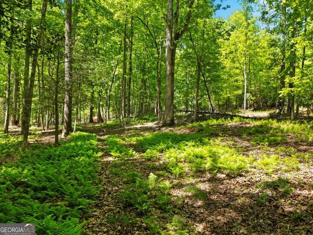 220 Evans Lane, Lakemont, GA 30552