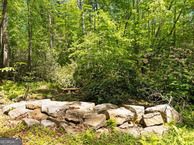 220 Evans Lane, Lakemont, GA 30552