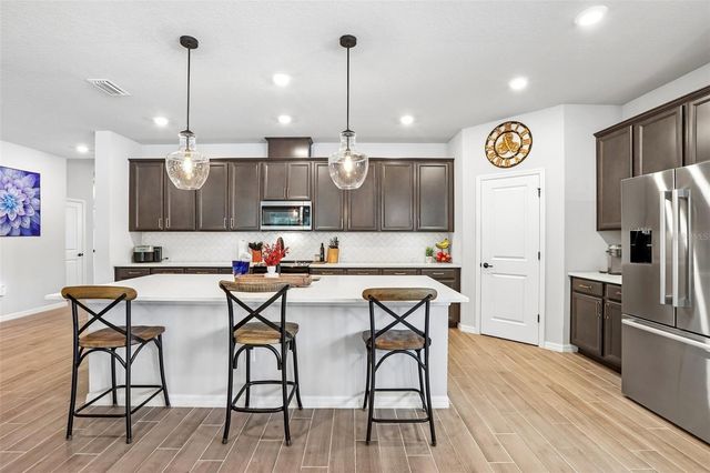 32515 CARMELA CIRCLE, San Antonio, FL 33576