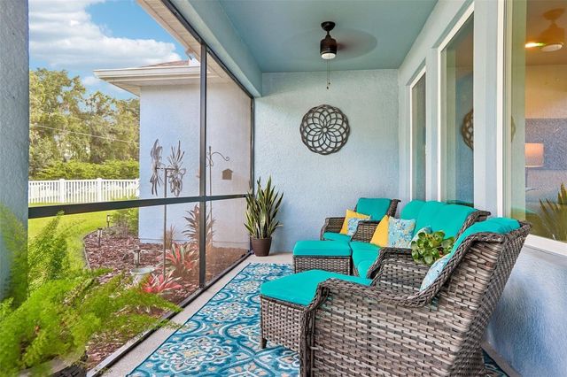 32515 CARMELA CIRCLE, San Antonio, FL 33576