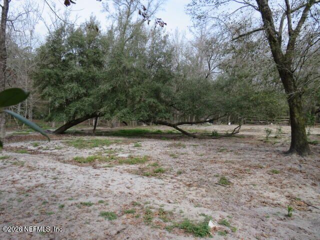 4564 CRAZY HORSE Avenue B, Middleburg, FL 32068