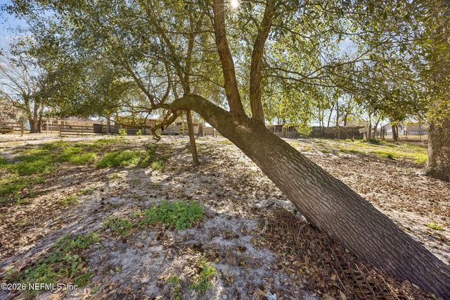 4564 CRAZY HORSE Avenue B, Middleburg, FL 32068