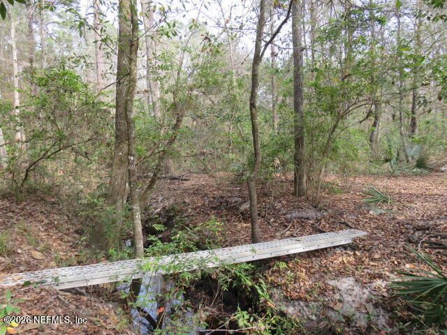 4564 CRAZY HORSE Avenue B, Middleburg, FL 32068