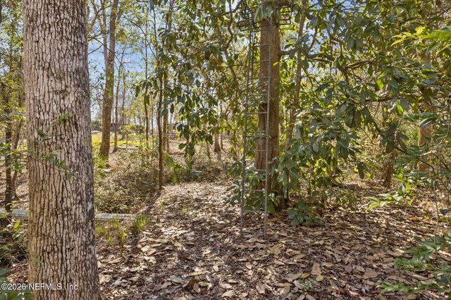 4564 CRAZY HORSE Avenue B, Middleburg, FL 32068