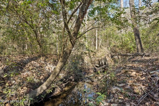 4564 CRAZY HORSE Avenue B, Middleburg, FL 32068