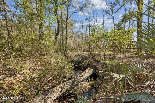 4564 CRAZY HORSE Avenue B, Middleburg, FL 32068