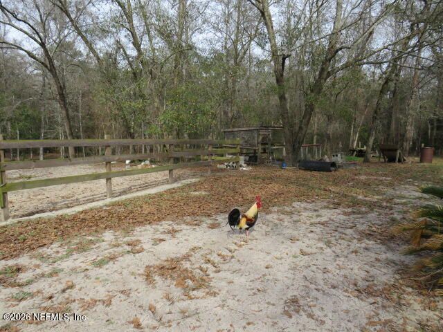 4564 CRAZY HORSE Avenue B, Middleburg, FL 32068