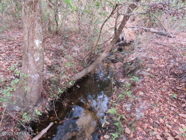 4564 CRAZY HORSE Avenue B, Middleburg, FL 32068