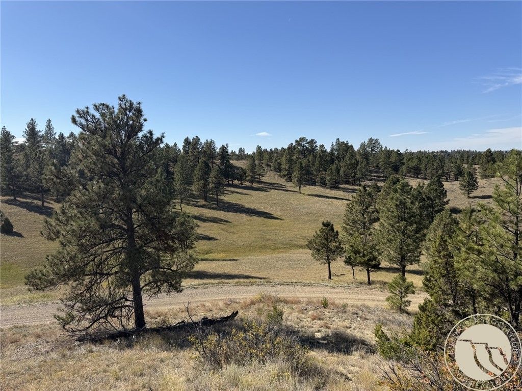 252 Rock Canyon Lane, Hysham, MT 59038 photo 3