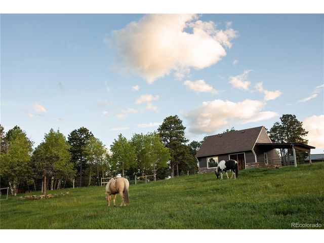 5276 S Bear Mtn. Dr, Evergreen, CO 80439