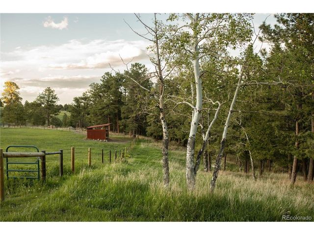 5276 S Bear Mtn. Dr, Evergreen, CO 80439