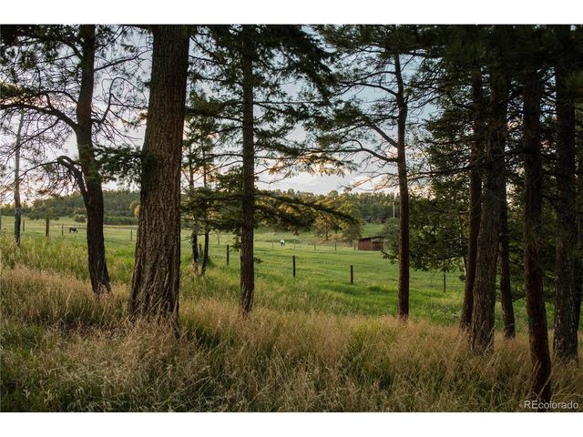 5276 S Bear Mtn. Dr, Evergreen, CO 80439