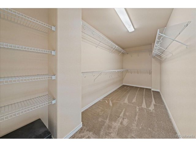 1103 Zodo Ave, Erie, CO 80516