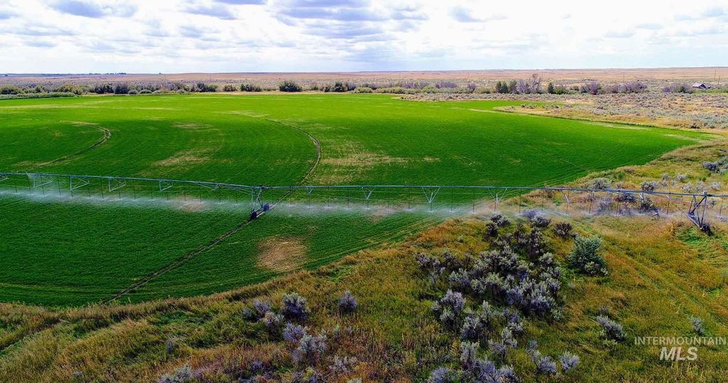 249 Priest Road, Picabo, ID 83313 photo 43