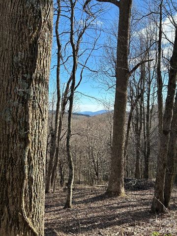 Lot 32 Strawberry Ridge Road, Little Switzerland, NC 28749