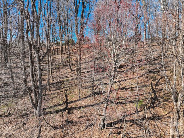 Lot 32 Strawberry Ridge Road, Little Switzerland, NC 28749